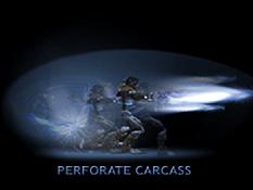 Perforate Carcass Attack